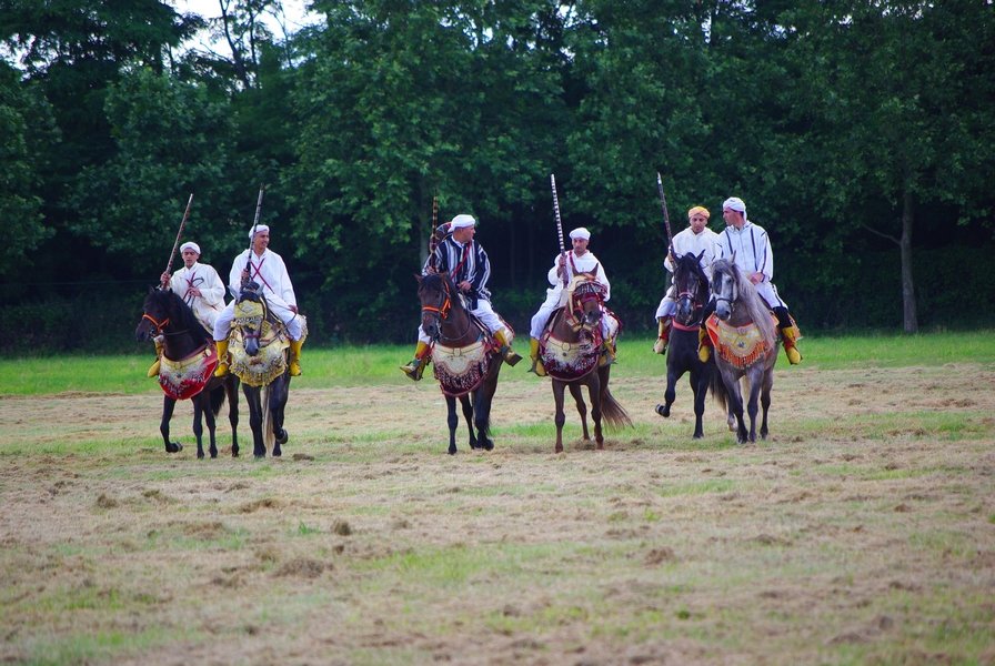Le Moussem des Cultures 2008 222.jpg